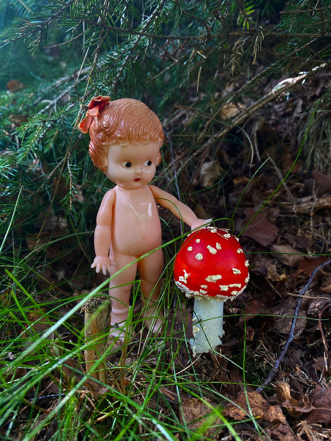 Lilly and mushroom