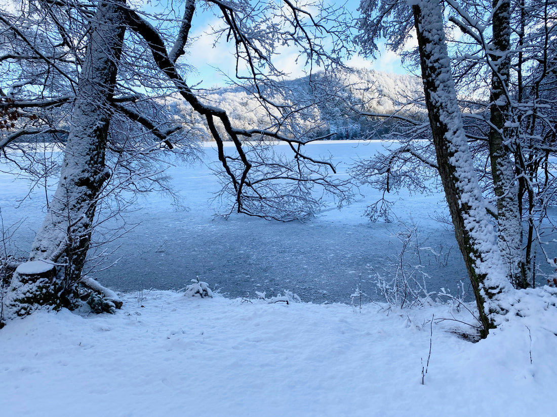 HEJ VINTERLAND! HEJ NARNIA!